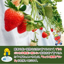 画像をギャラリービューアに読み込む, オールフルーツジャム いちご 240g