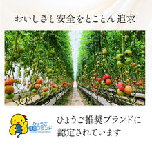 画像をギャラリービューアに読み込む, 【送料無料 ギフトBOX】3種のトマトジュース(1リットル)3本セット