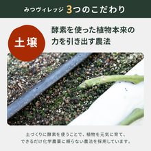 画像をギャラリービューアに読み込む, 【ギフトBOX】ジャム2種+パスタソース小2種+ドレッシング1種