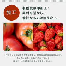 画像をギャラリービューアに読み込む, 【ギフトBOX】ジャム2種+パスタソース小2種+ドレッシング1種