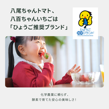 画像をギャラリービューアに読み込む, 【ギフトBOX】ジャム2種+パスタソース小2種+ドレッシング1種