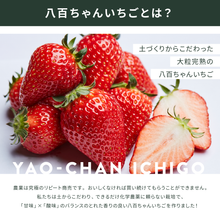 画像をギャラリービューアに読み込む, 【人気No.2】オールフルーツジャム いちご 140g