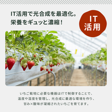 画像をギャラリービューアに読み込む, 【人気No.2】オールフルーツジャム いちご 140g