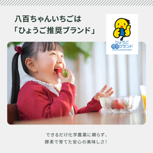 画像をギャラリービューアに読み込む, 【人気No.2】オールフルーツジャム いちご 140g