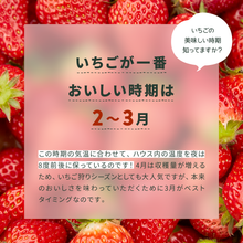 画像をギャラリービューアに読み込む, 【人気No.2】オールフルーツジャム いちご 140g