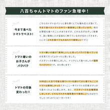 画像をギャラリービューアに読み込む, 【人気No.1】パスタソース ガーリック味 340g
