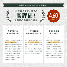 画像をギャラリービューアに読み込む, 【人気No.1】パスタソース ガーリック味 340g