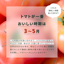 画像をギャラリービューアに読み込む, 【人気No.1】パスタソース ガーリック味 340g