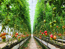 画像をギャラリービューアに読み込む, 【送料無料】みつヴィレッジのオススメ加工品セット(10種)