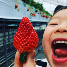 画像をギャラリービューアに読み込む, 八百ちゃんいちごのドレッシング 200mℓ