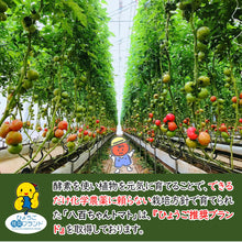画像をギャラリービューアに読み込む, 【50本限定SALE中！】大玉トマトのトマトジュース　1000ml
