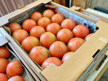 画像をギャラリービューアに読み込む, 【ひょうご推奨ブランド】八百ちゃんトマト（大玉）1kg
